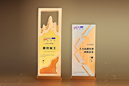 维多利亚老品牌VIC国际一举斩获“2024年度中国区最佳雇主”等多项大奖