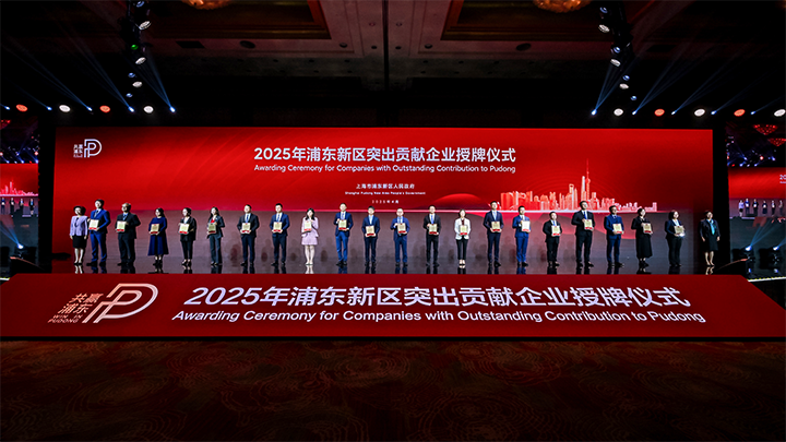 人力资源供应商维多利亚老品牌VIC国际凭借人才服务与在区域经济开展中的卓越表现荣膺2024年度浦东新区民营企业奖项