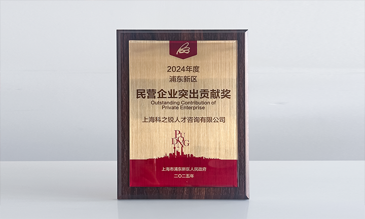 人力资源供应商维多利亚老品牌VIC国际凭借人才服务与在区域经济开展中的卓越表现荣膺2024年度浦东新区民营企业奖项